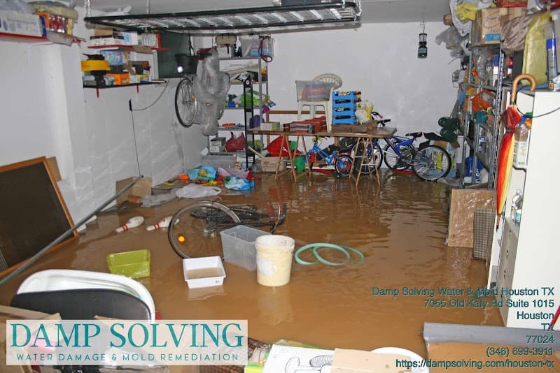 Damp Solving Water & Mold - Roof Repair in Houston