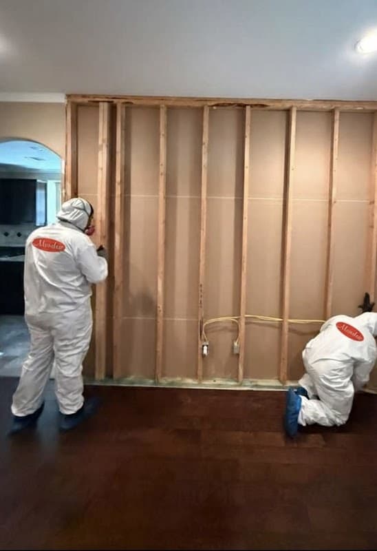 Mundae Restoration Services - Roof Repair in Houston