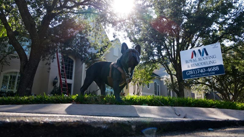 Royal Roofing and Remodeling - Roof Repair in Katy