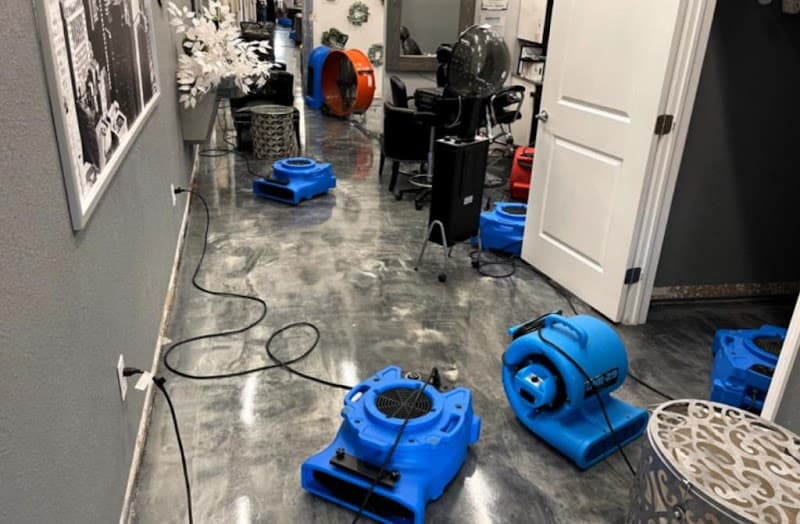 TX - Roof Repair in Spring